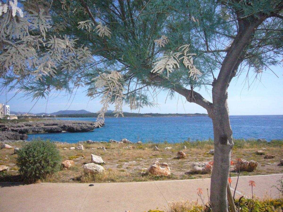 Holiday Home Randemar S'Illot  Buitenkant foto